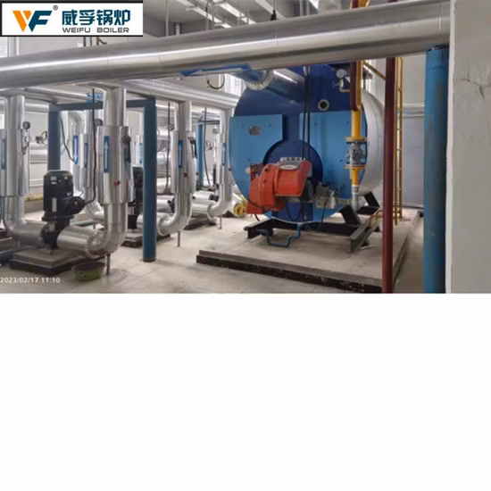 5-75t/H Caldera de vapor CFB de lecho fluidizado circulante de alta eficiencia con biomasa/carbón/msw/caldera de vapor para uso industrial/central eléctrica/centrales eléctricas/