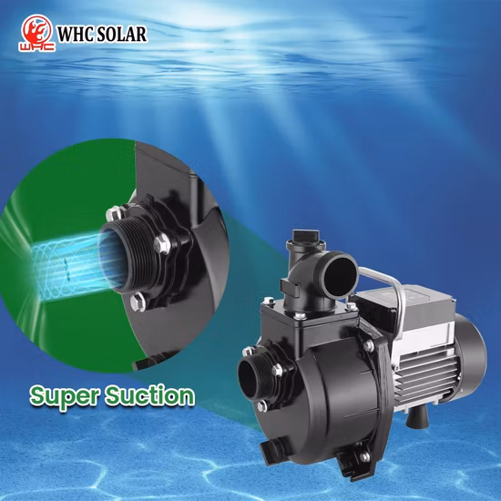 Bomba de agua solar sumergible de alta calidad con controlador MPPT para DC AC Hybrid, 3 años de garantía